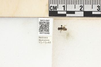 Media type: image;   Entomology 773540 Aspect: Labels